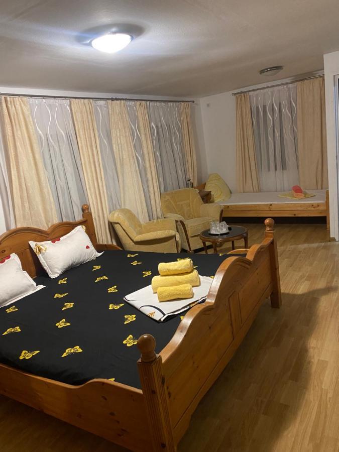 Hotel Casa Donau Delta à Sulina Extérieur photo