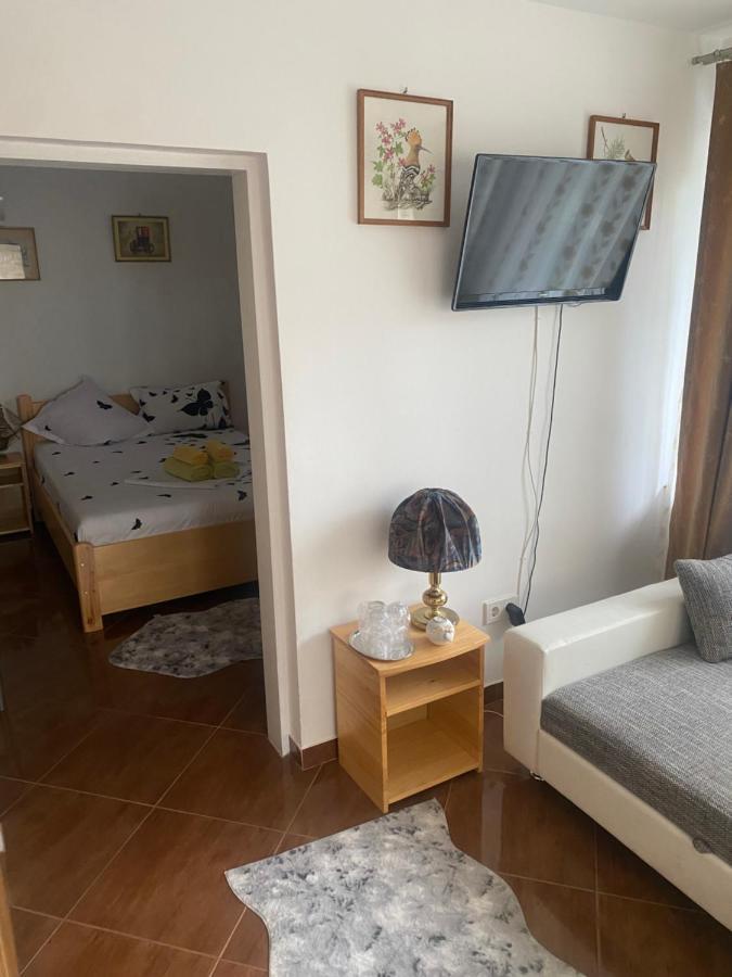 Hotel Casa Donau Delta à Sulina Extérieur photo