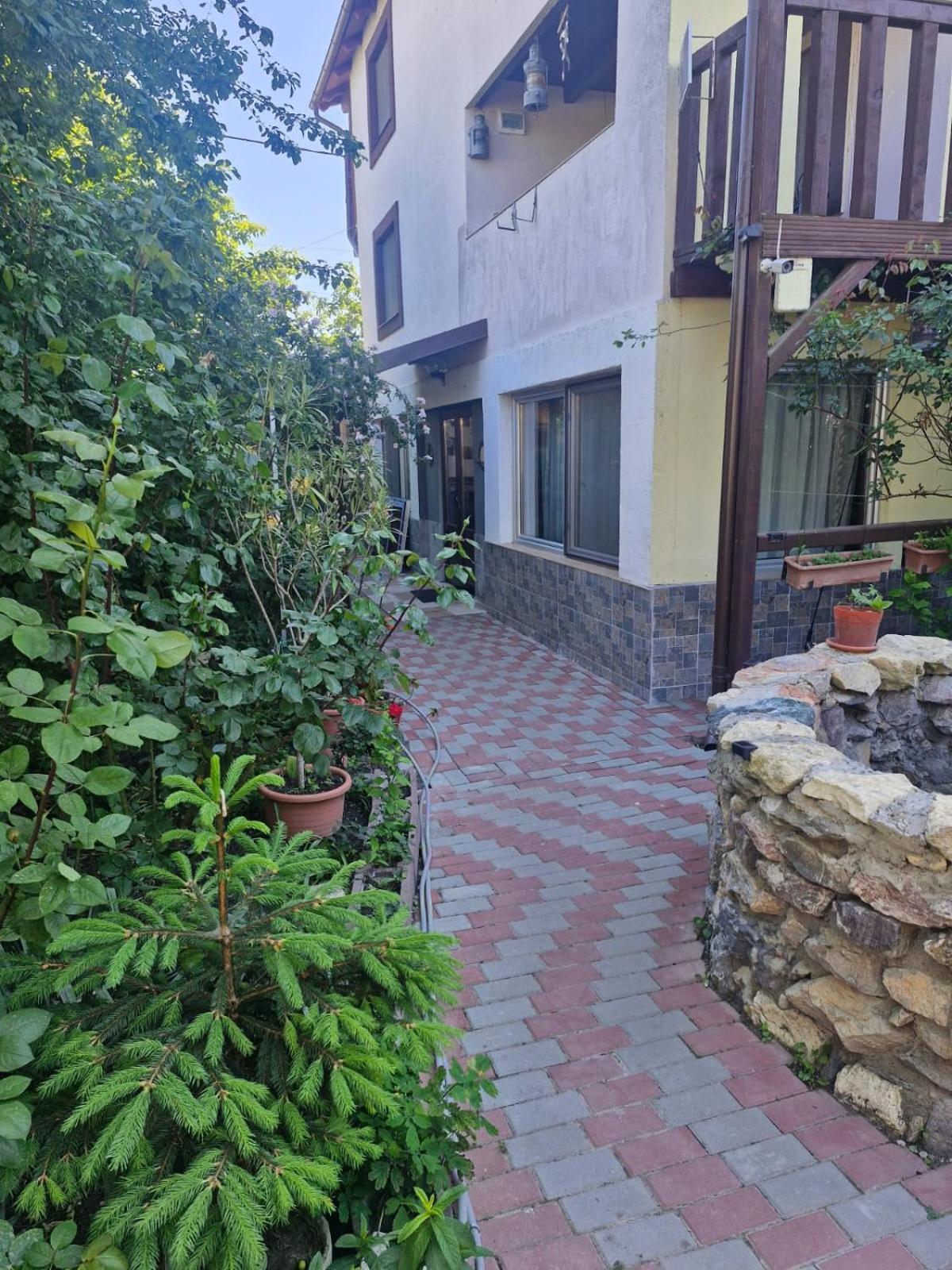 Hotel Casa Donau Delta à Sulina Extérieur photo