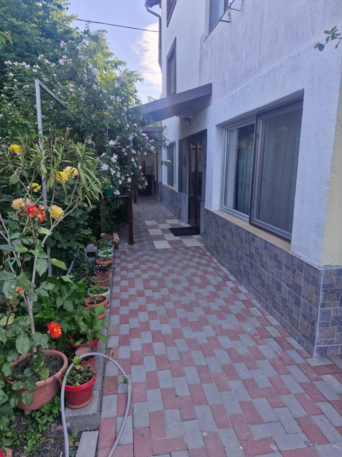 Hotel Casa Donau Delta à Sulina Extérieur photo